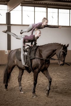 Bild 66 - Voltigierturnier